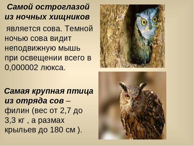 Презентация для лектория в краеведческом музее "Самое интересное о природе Кузбасса"