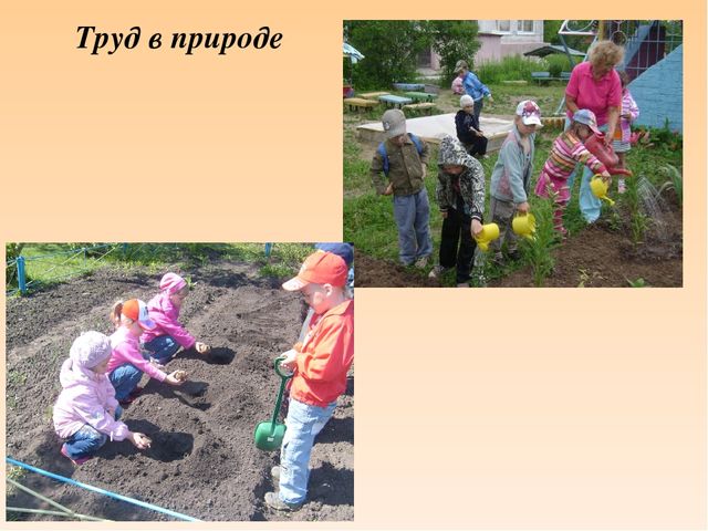 Презентация "Трудовая воспитание дошкольников"