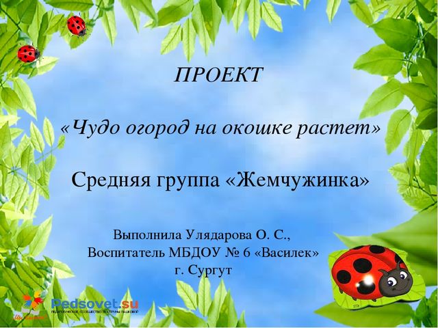 Чудо огород на окошке растет