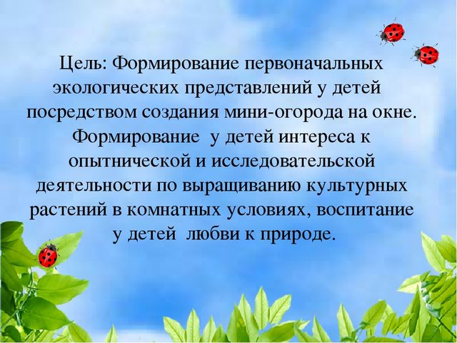 Чудо огород на окошке растет