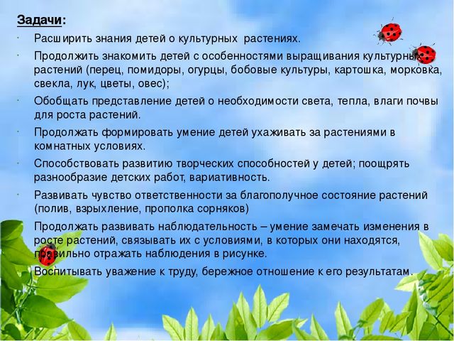 Чудо огород на окошке растет