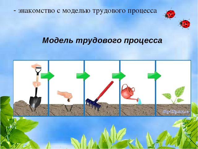 Чудо огород на окошке растет
