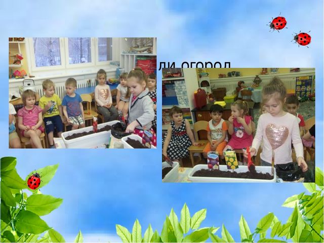 Чудо огород на окошке растет