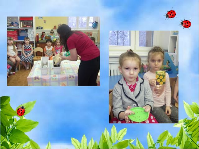 Чудо огород на окошке растет