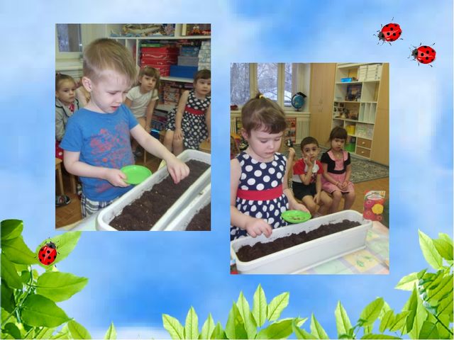 Чудо огород на окошке растет