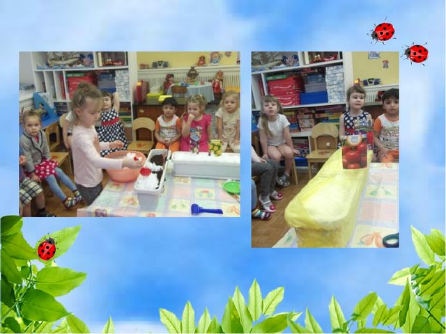 Чудо огород на окошке растет