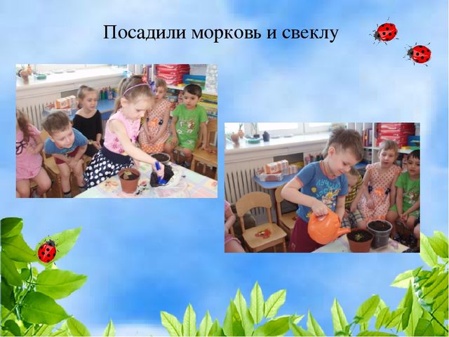 Чудо огород на окошке растет