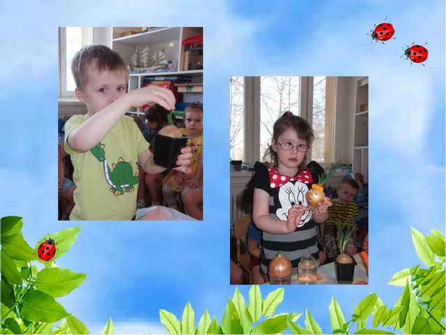 Чудо огород на окошке растет
