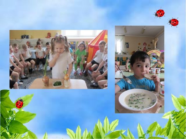 Чудо огород на окошке растет