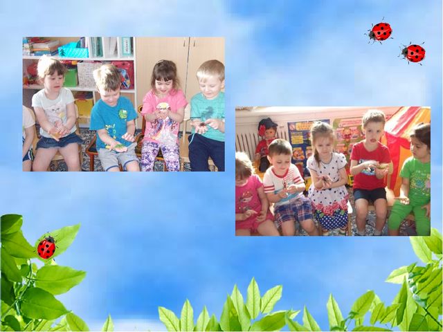 Чудо огород на окошке растет