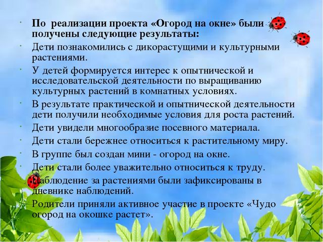 Чудо огород на окошке растет