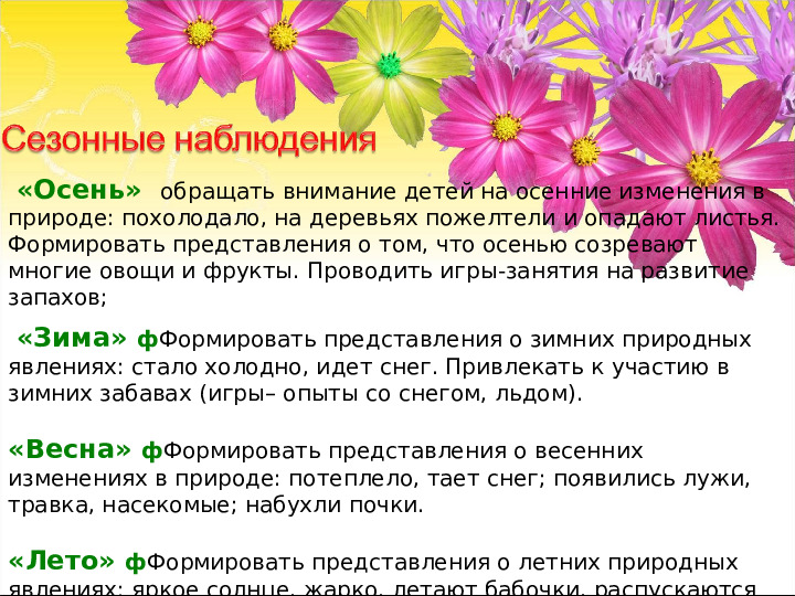 Презентация по экологическому воспитанию на тему "Приобщение детей раннего возраста к миру природы"