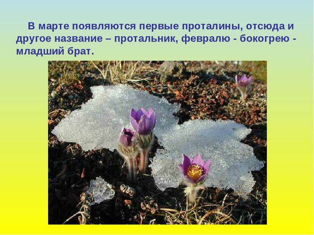 Презентация для дошкольников "В гости к весне"
