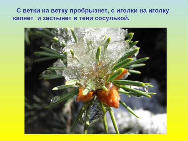 Презентация для дошкольников "В гости к весне"