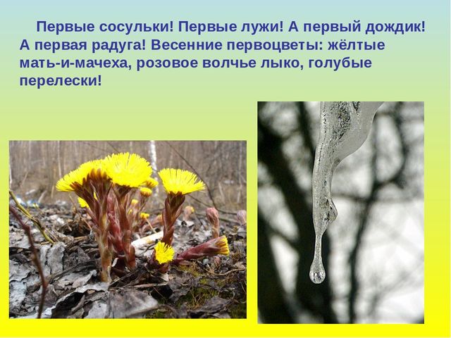 Презентация для дошкольников "В гости к весне"