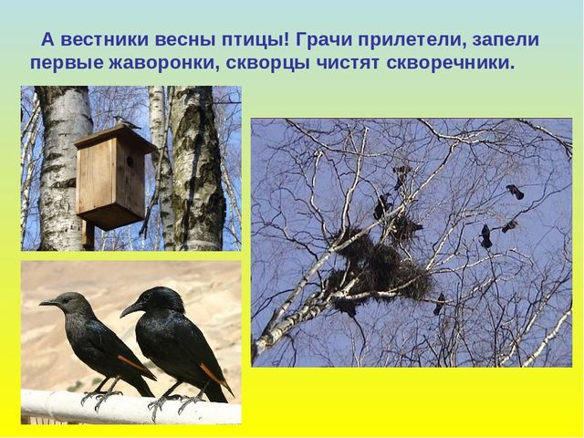 Презентация для дошкольников "В гости к весне"