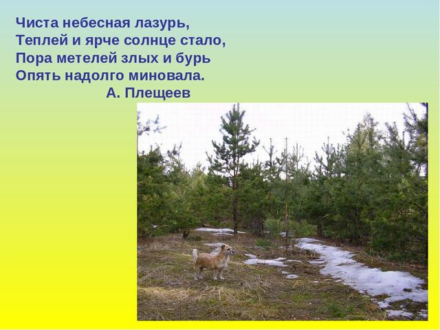 Презентация для дошкольников "В гости к весне"