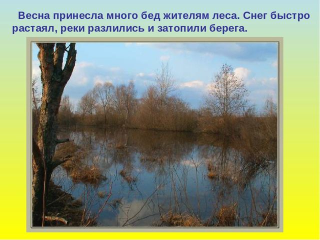 Презентация для дошкольников "В гости к весне"