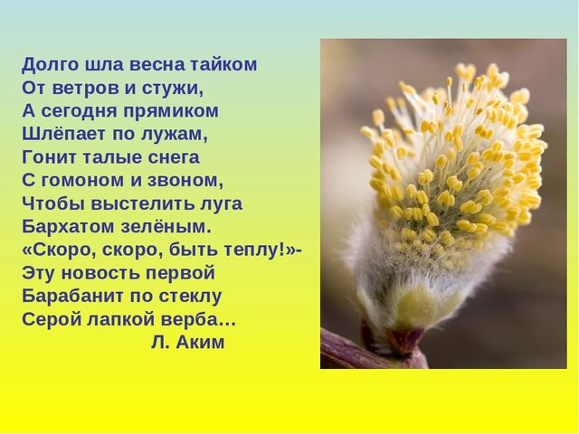 Презентация для дошкольников "В гости к весне"