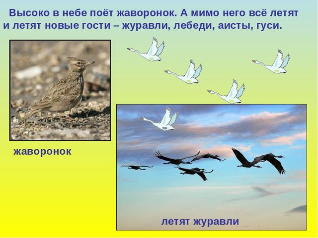 Презентация для дошкольников "В гости к весне"