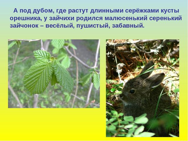 Презентация для дошкольников "В гости к весне"