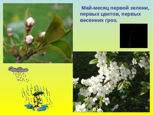 Презентация для дошкольников "В гости к весне"