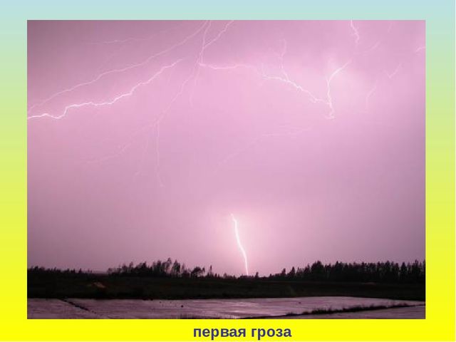 Презентация для дошкольников "В гости к весне"