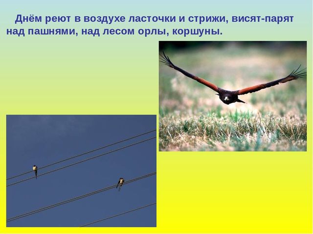 Презентация для дошкольников "В гости к весне"
