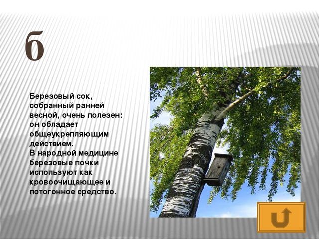 Презентация по развитию речи Азбука - растительный мир