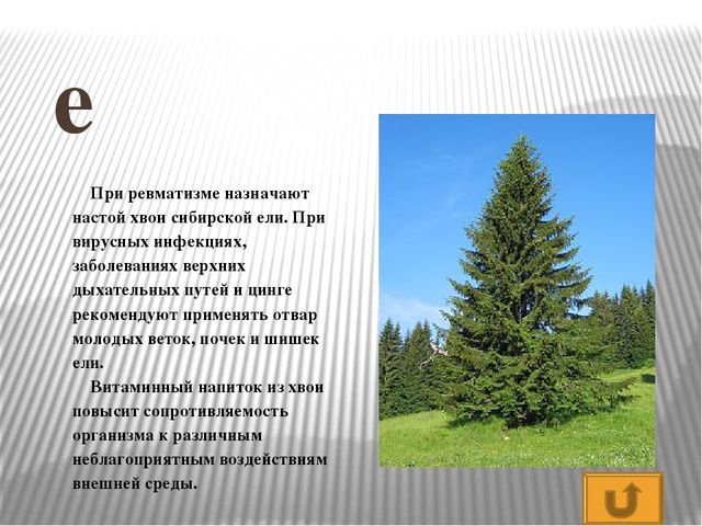 Презентация по развитию речи Азбука - растительный мир