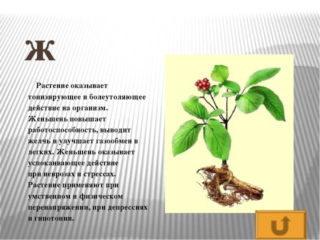 Презентация по развитию речи Азбука - растительный мир