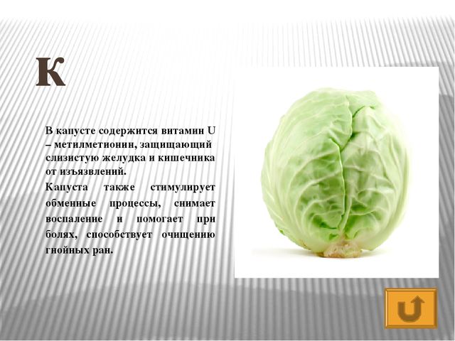 Презентация по развитию речи Азбука - растительный мир