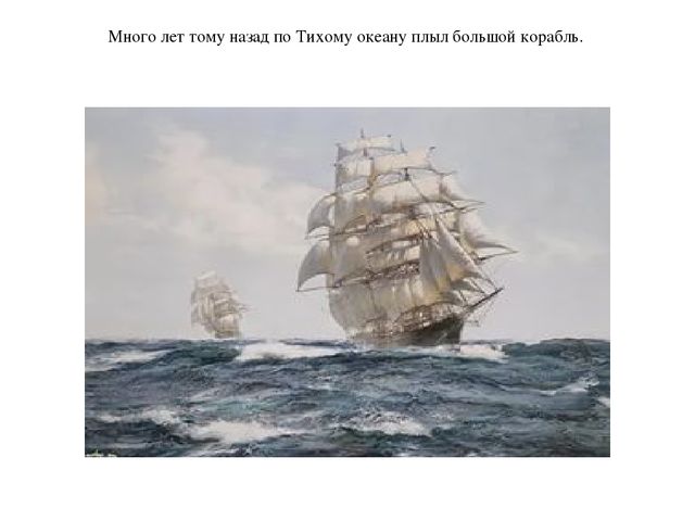 Презентация по окружающему миру "Морские коровы"