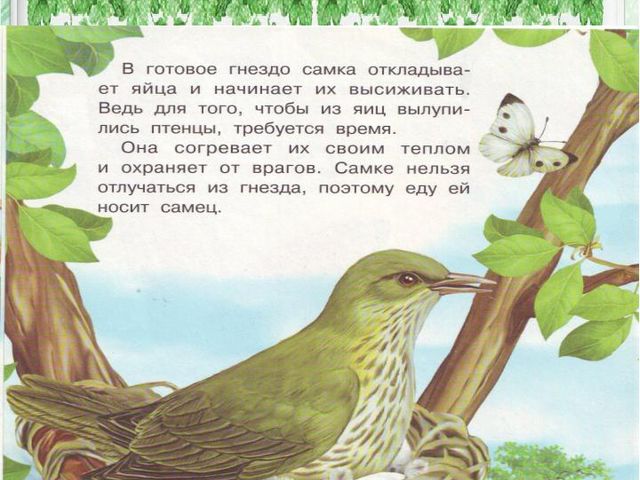 Презентация по познавательному развитию дошкольников "Как появилась птица"