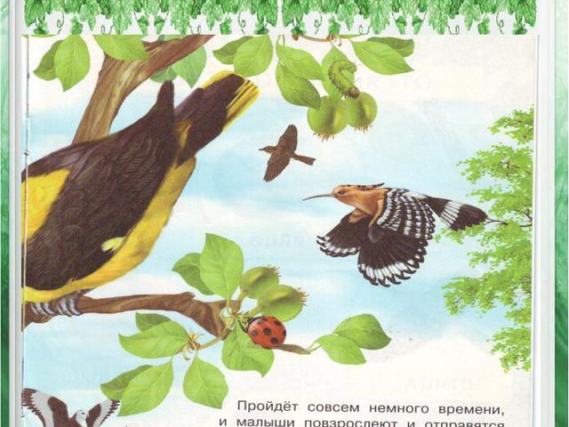 Презентация по познавательному развитию дошкольников "Как появилась птица"