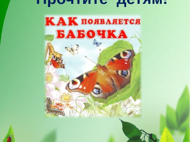 Презентация по экологическому воспитанию дошкольников "Как появилась бабочка"