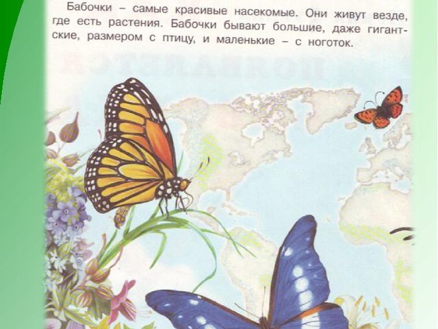 Презентация по экологическому воспитанию дошкольников "Как появилась бабочка"