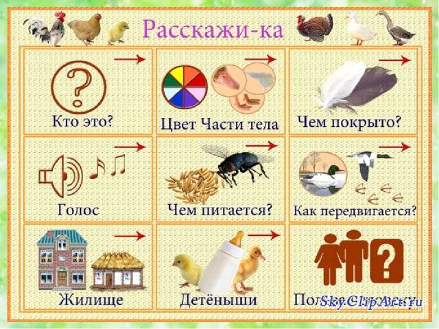 Семинар -практикум для воспитателей ДОУ "Современные технологии речевого развития детей дошкольного возраста"