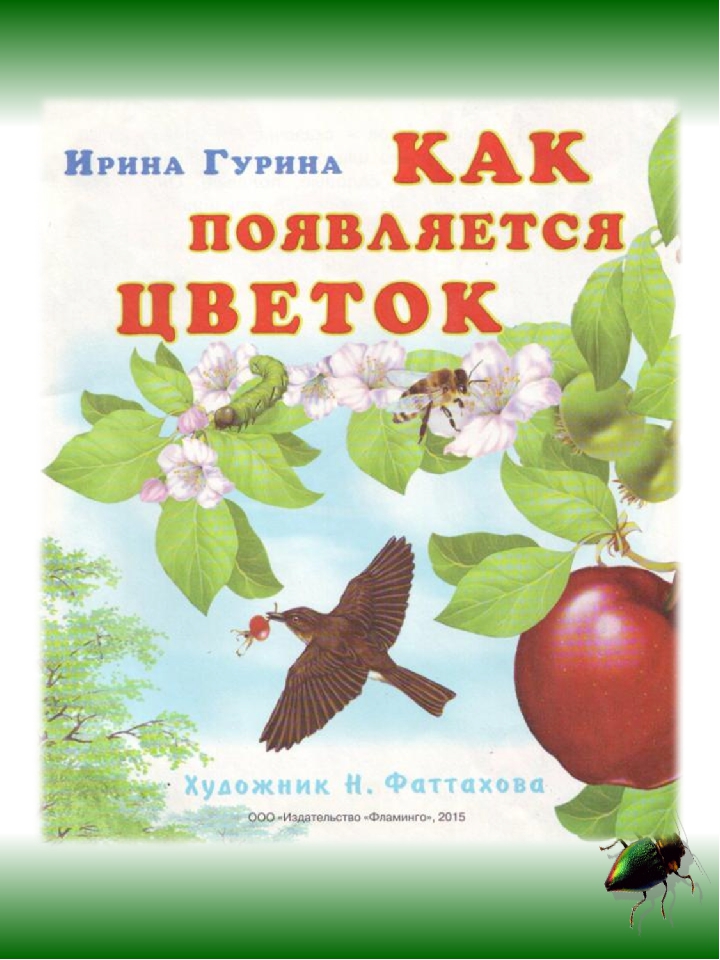 Презентация по познавательному развитию дошкольников "Как появился цветок"