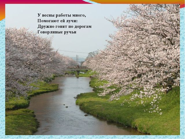 Презентация по окружающему миру для детей 2 младшей группы.