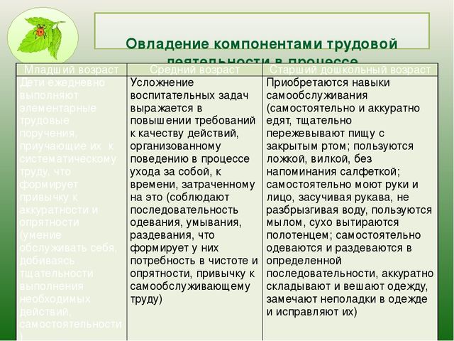 Презентация " Современные подходы к трудовому воспитанию дошкольников в соответствии ФГОС в ДОУ"