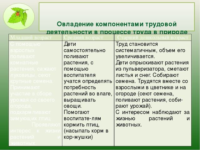 Презентация " Современные подходы к трудовому воспитанию дошкольников в соответствии ФГОС в ДОУ"
