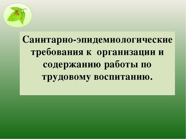 Презентация " Современные подходы к трудовому воспитанию дошкольников в соответствии ФГОС в ДОУ"
