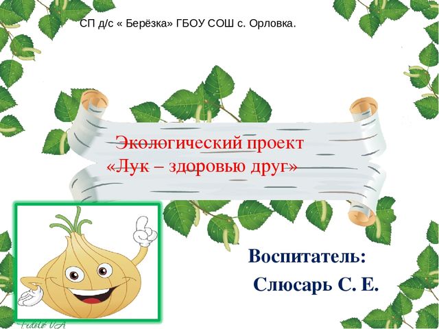 Презентация проекта. Лук здоровью друг.