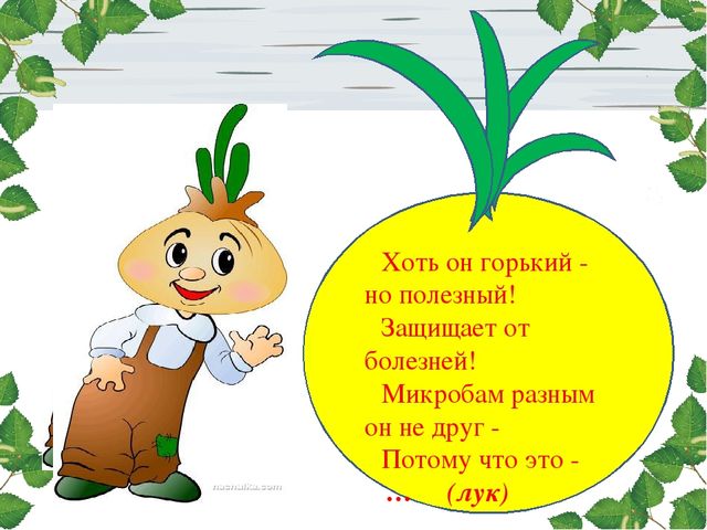 Презентация проекта. Лук здоровью друг.