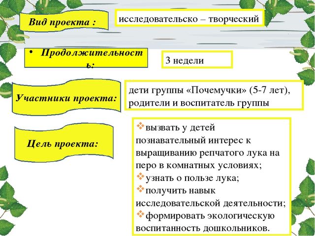 Презентация проекта. Лук здоровью друг.