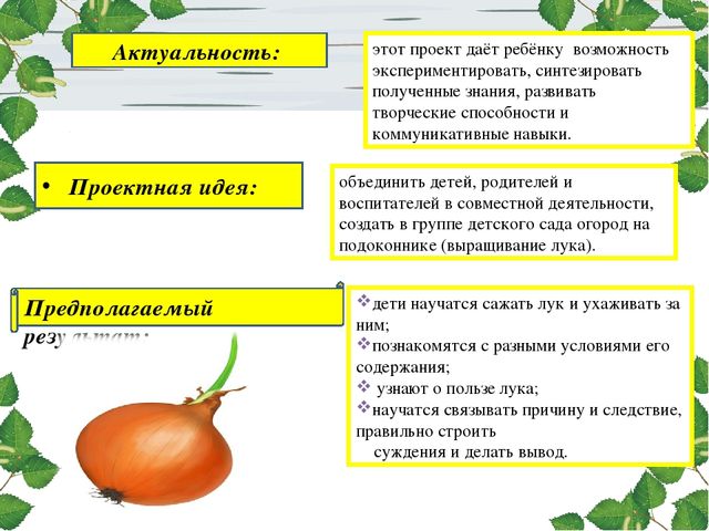 Презентация проекта. Лук здоровью друг.