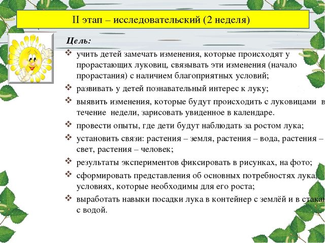 Презентация проекта. Лук здоровью друг.
