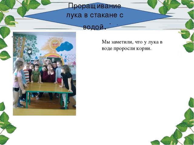 Презентация проекта. Лук здоровью друг.