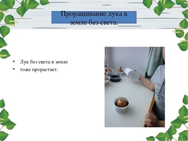 Презентация проекта. Лук здоровью друг.